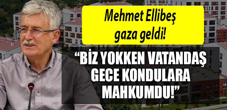 mehmet ellibes