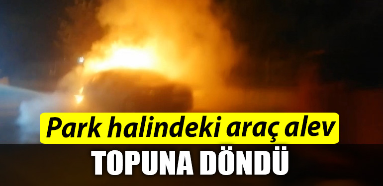 Kocaeli de Park halindeki arac alev topuna dondu