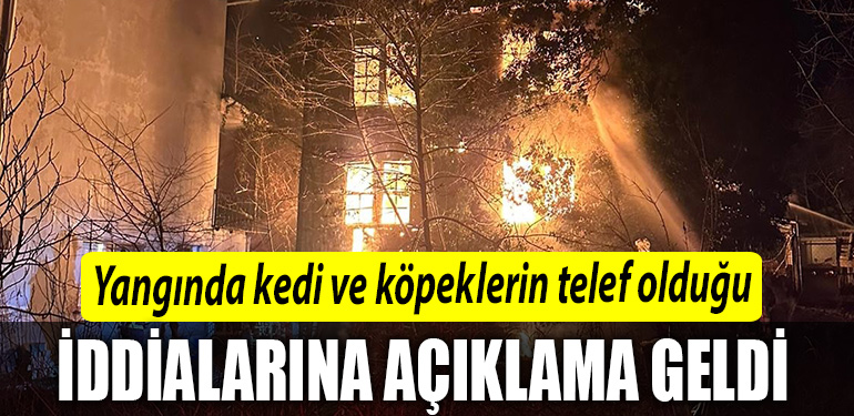 Kocaeli de yanginda kedi ve kopeklerin telef oldugu iddialarina aciklama geldi