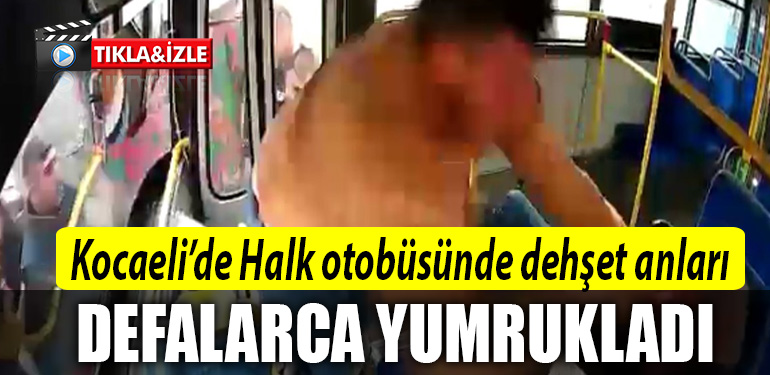 kocaeli halk otobusu