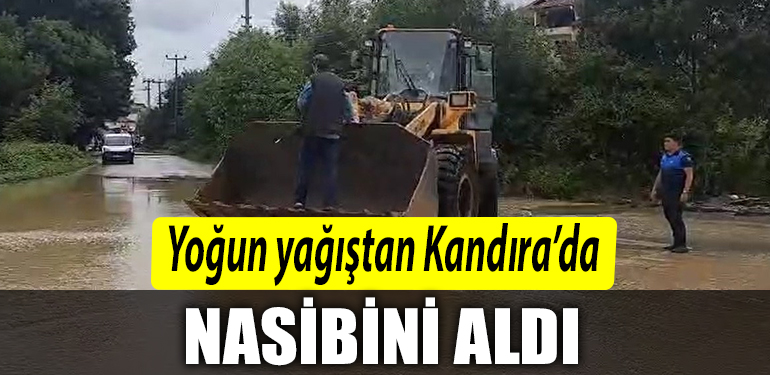 NASİP