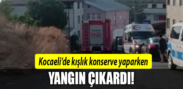 kocaeli yangın